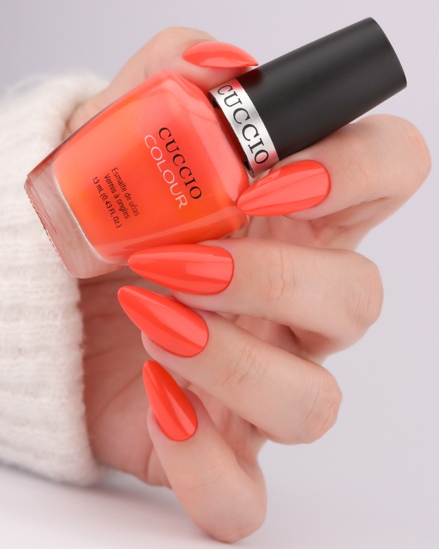 colour 6145.jpg