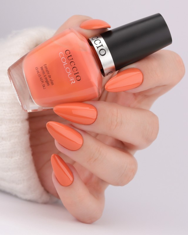 colour 6403.jpg