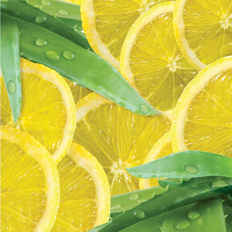 Limettaealoe_800x.webp