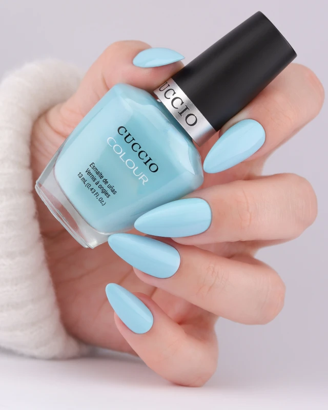 colour 6081.jpg